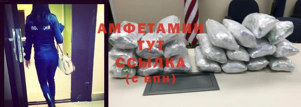 ПСИЛОЦИБИНОВЫЕ ГРИБЫ Ельня