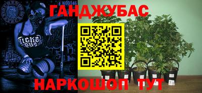 кокс Кандалакша