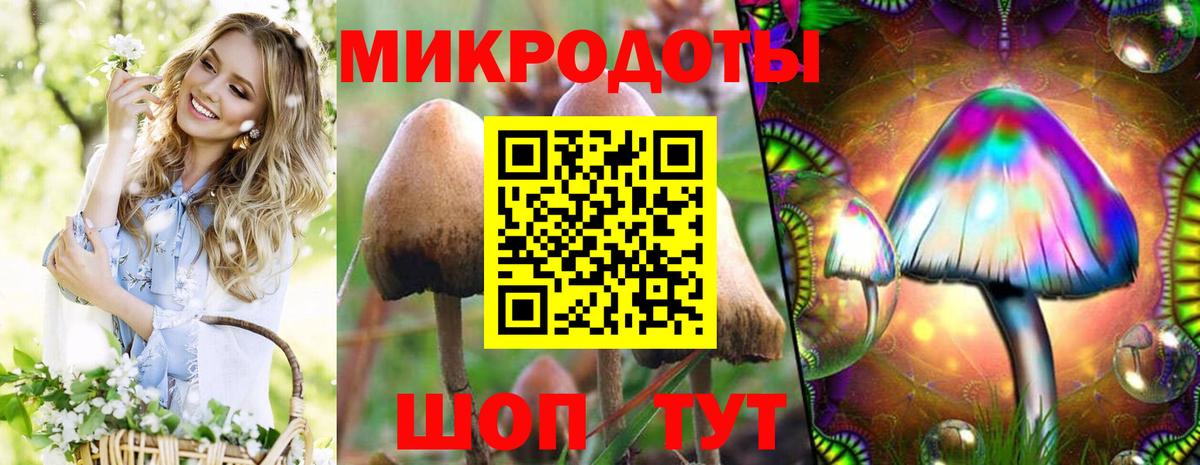 Псилоцибиновые грибы MAGIC MUSHROOMS Новозыбков